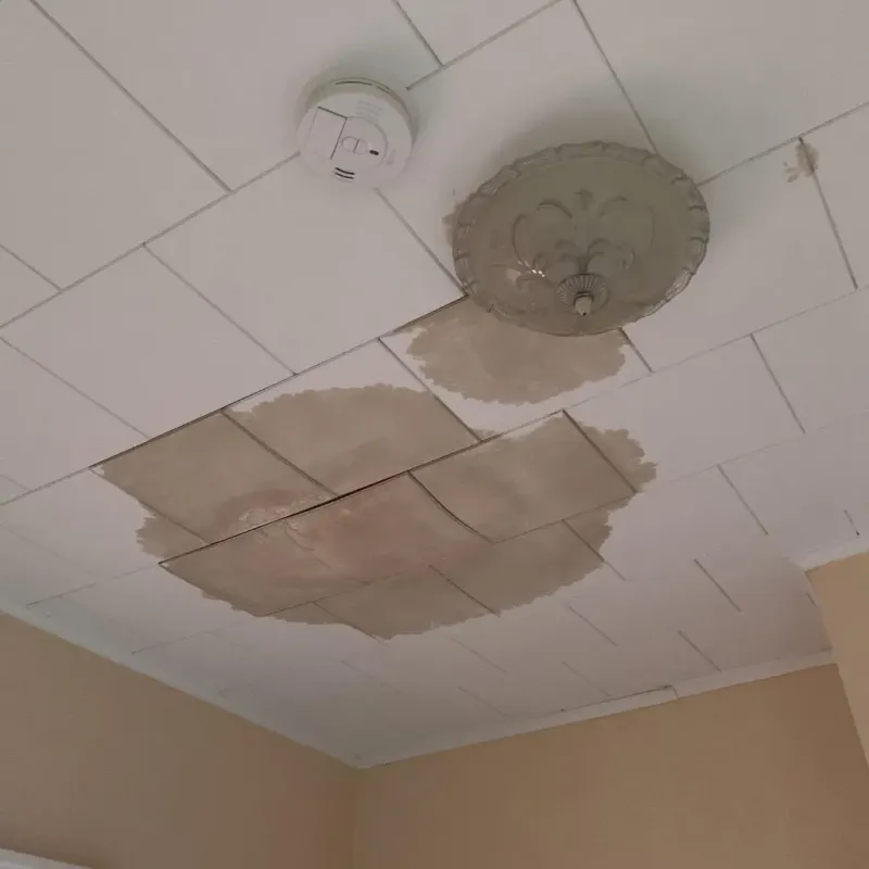 Ceiling Water Damage Repair in Union Springs, NY